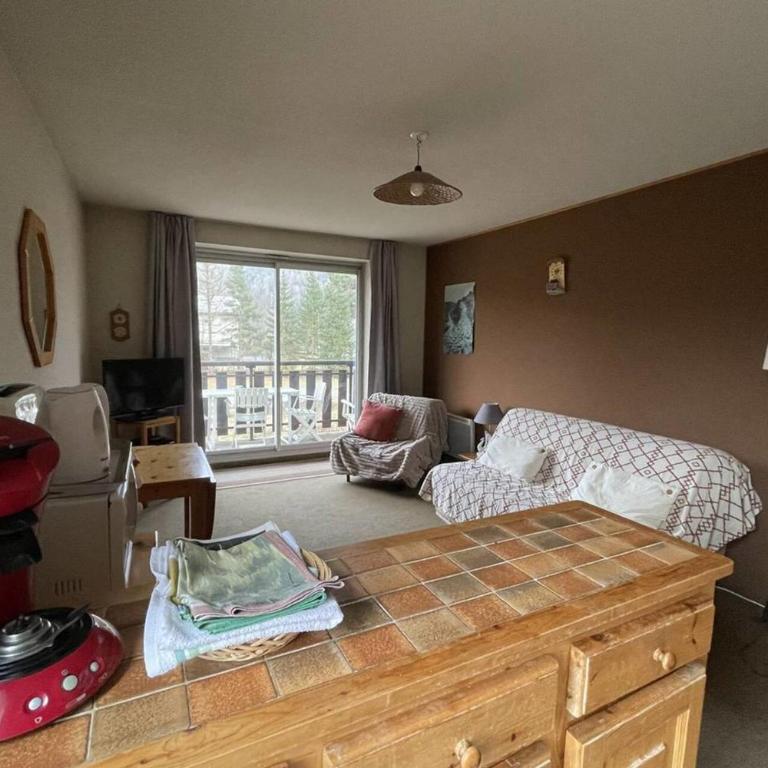 55sqm flat balconies Pra-Loup view - Appartamento - 3