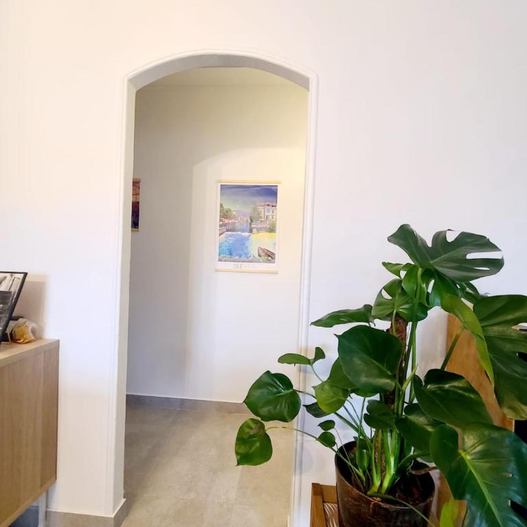 Maison familiale avec piscine - Isle-sur-la-Sorgue - Casa Vacanze - 18