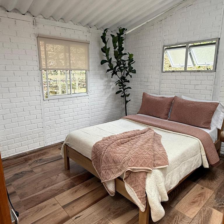 Cabaña entre Cafetales - Two-Bedroom Chalet - 22