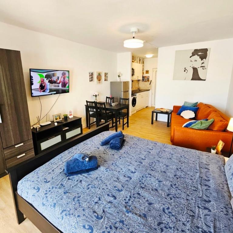 Casa Atlantis Playa Roca - Apartamento de 1 dormitorio - 23