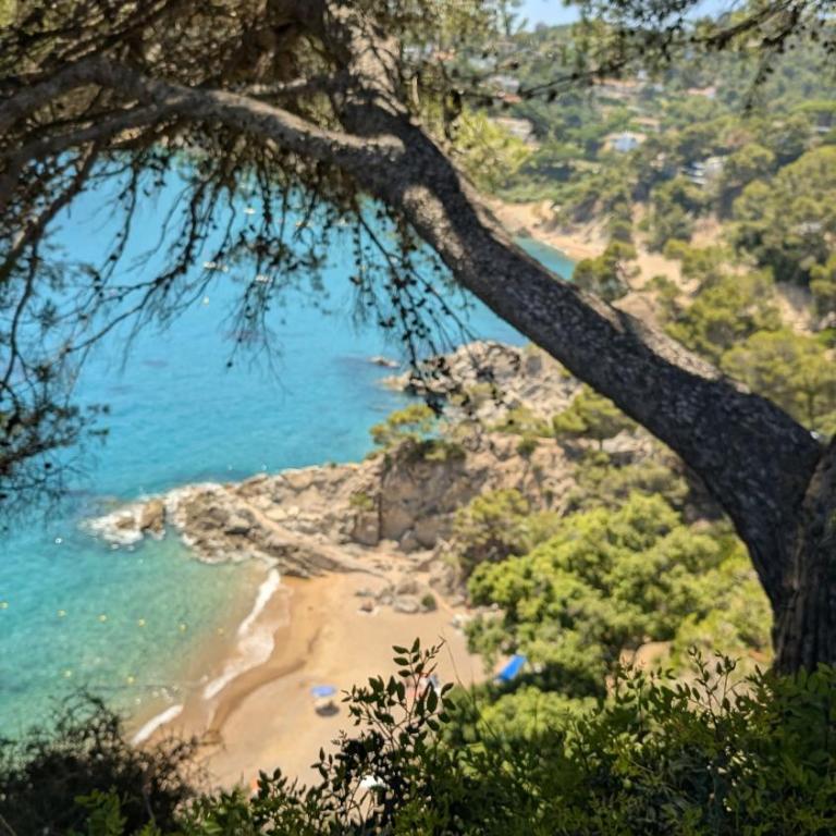 Cala Llevadó 2 – Vistas, Piscina y Cerca del Mar - Apartamento de 1 dormitorio - 4
