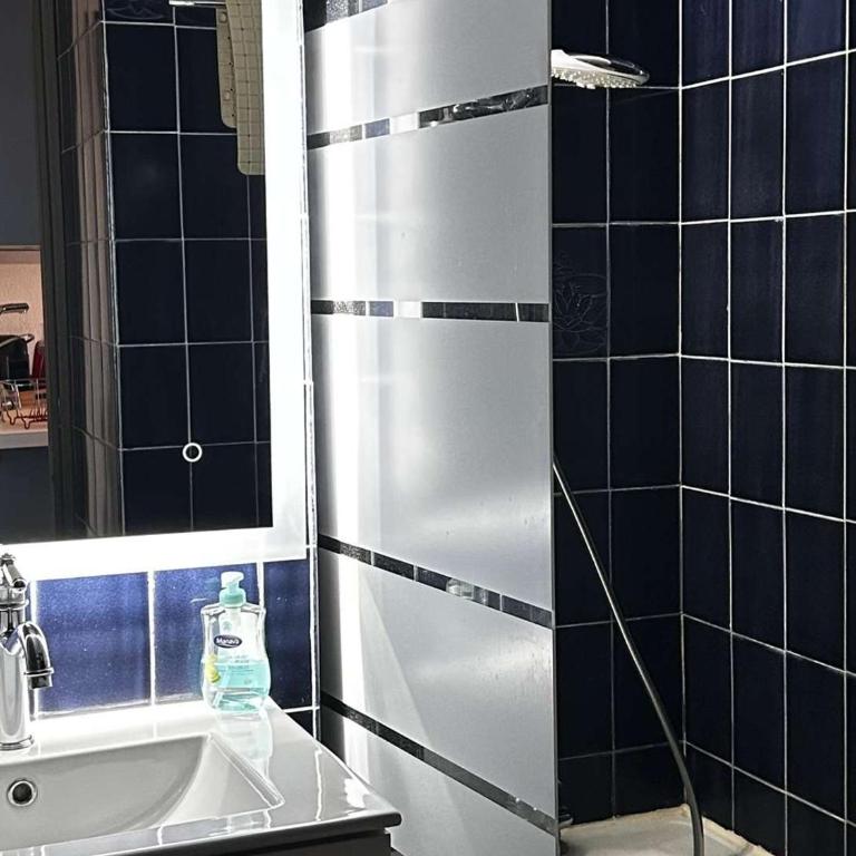 Studio cabine climatisé avec wifi, piscine et parking à Coudalère - FR-1-195-112 - Apartment - 27