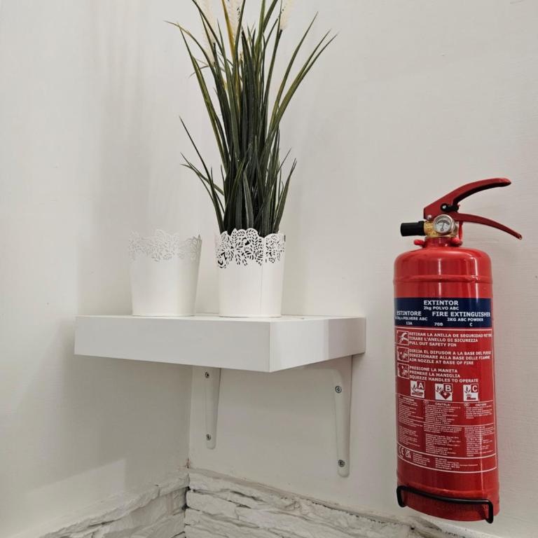 ALBATROS Suites&Rooms - Vierbettzimmer mit Bad - 27