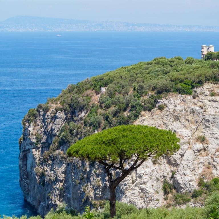 Vervece Apartment - Panoramic, Spacious with Seaview - Apartment mit 3 Schlafzimmern - 6