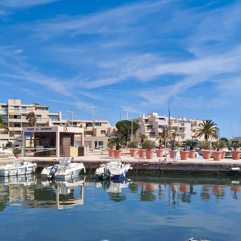 Charmant T2 à Bormes-les-Mimosas, proche plage et commerces, parking inclus, animaux acceptés - FR-1-610-82 - Apartment - 15