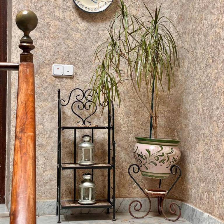 Casa Palacio Vicario 11 Centro - Casa de 6 dormitorios - 31