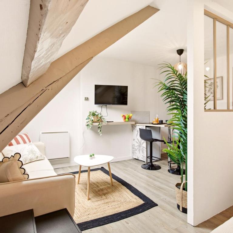 Le Perchoir - Studio Hypercentre - Wi-Fi - Appartement 1 Chambre - 2