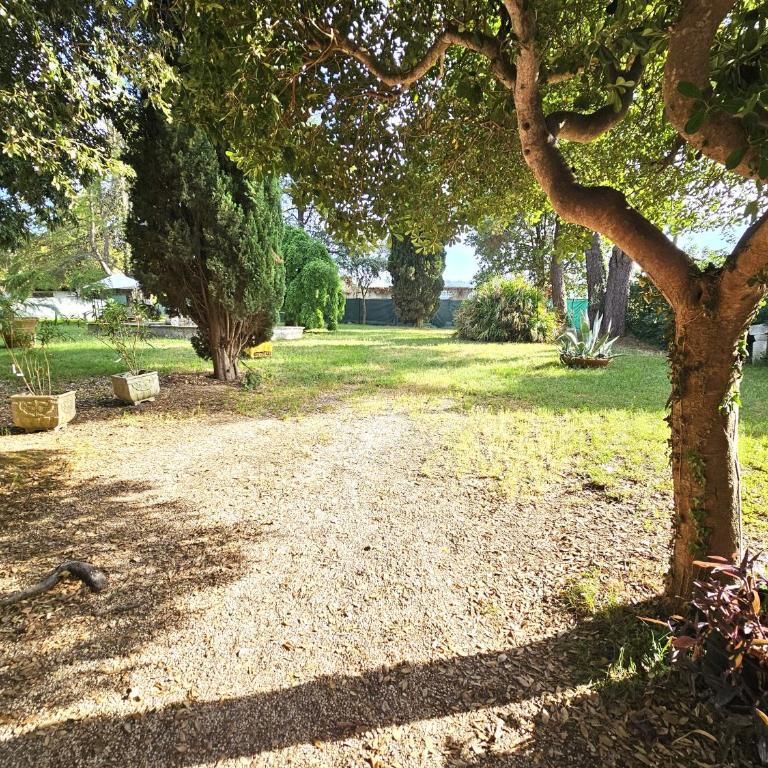 Villa Carla - vicino alla Riviera del Conero e ai Colli dell' Infinito - One-Bedroom Apartment with Garden View - 45