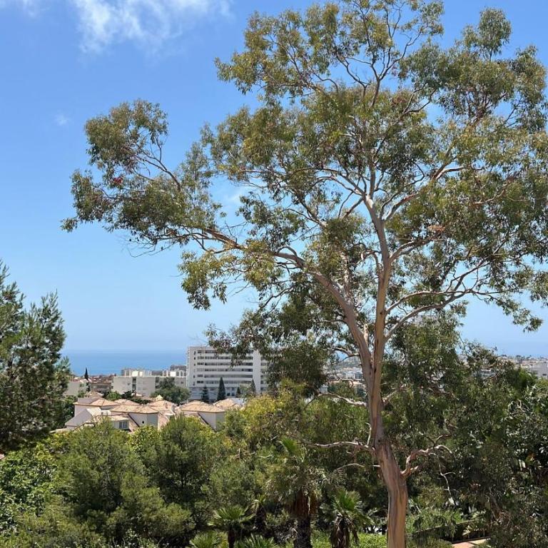 Petunia Loft Benalmádena - Apartamento de 3 dormitorios - 24