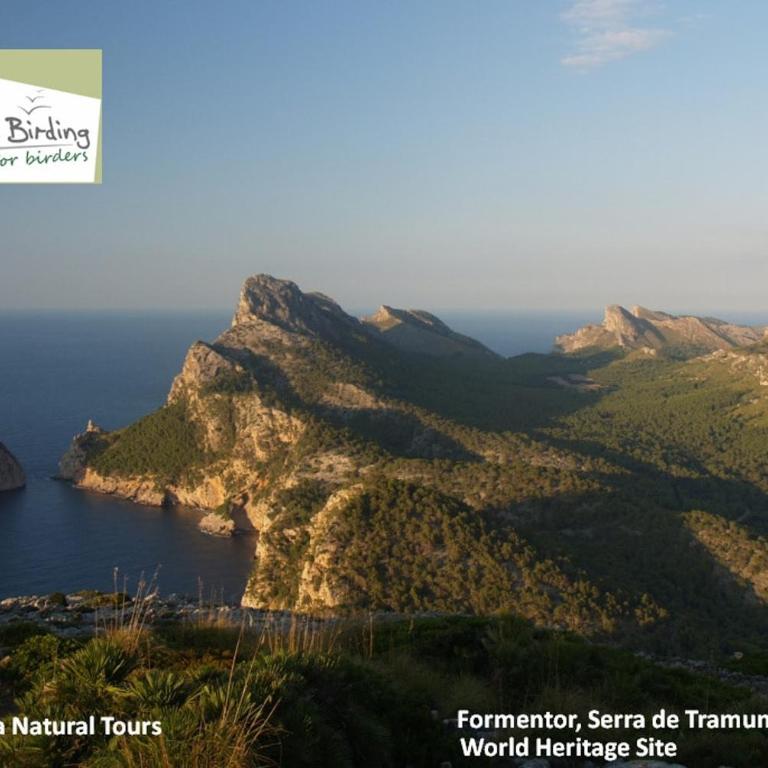 Quiet PINE WALK apartment 20m from the beach - Apartamento con vistas al mar - 7