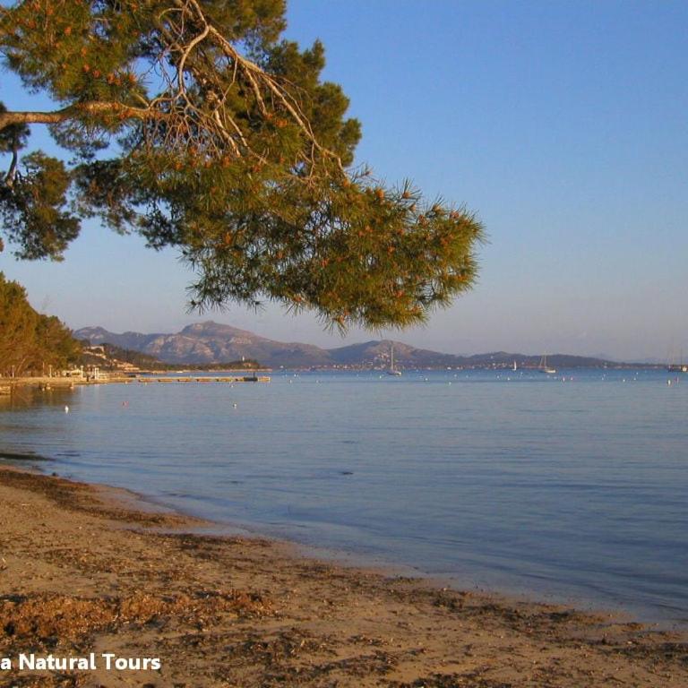 Quiet PINE WALK apartment 20m from the beach - Apartamento con vistas al mar - 19