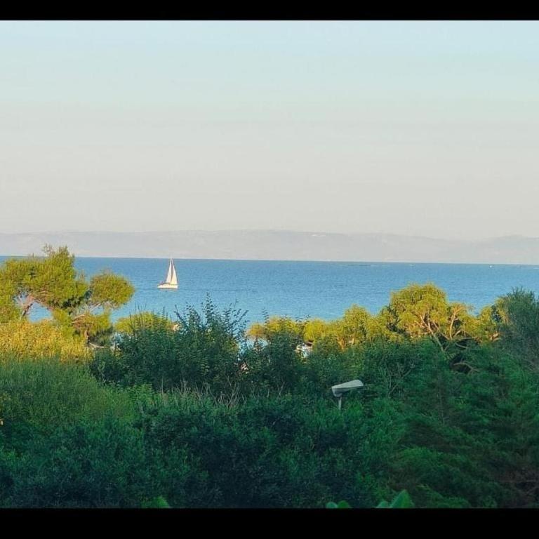 Casa ele - Appartamento con 1 Camera da Letto - 1