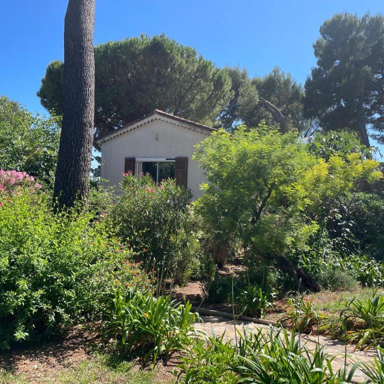 Villa dans grand jardin provençal - Villa - 2