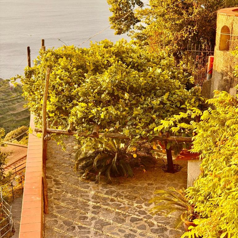 Villa Nina Amalfi - Villa con 3 Camere da Letto - 100