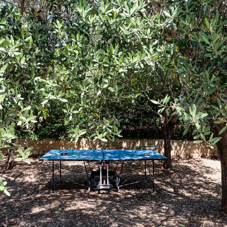 Il giardino di don mimì - Villa - 52