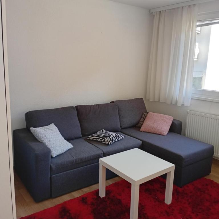 XXL apartman Free parking - Četvorosobni Apartman - 12