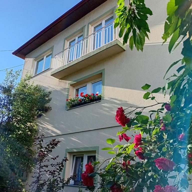 XXL apartman Free parking - Četvorosobni Apartman - 15