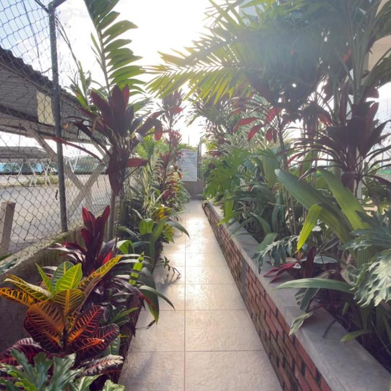 APARTAMENTO turismo PARQUE DEL CAFE 410B - Apartamento de 2 dormitorios - 34