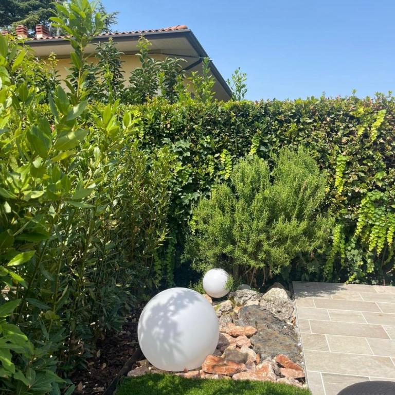 Appartamenti HERA - Appartamento con Balcone - 32