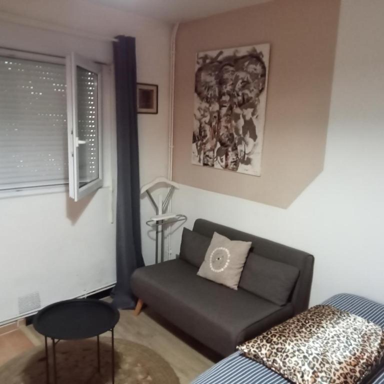 Ravissant studio meublé sans terrasse - Apartamento de 2 dormitorios - 4