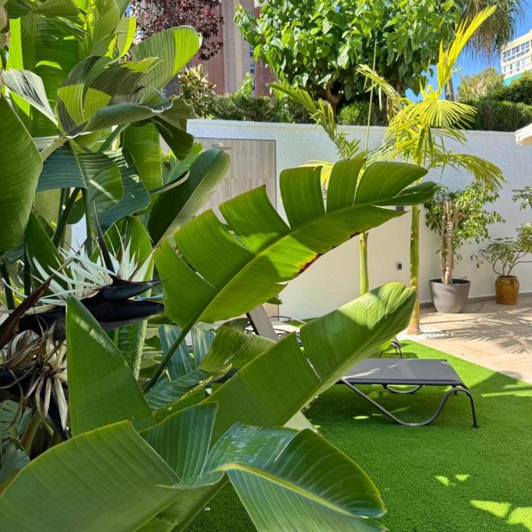 Jardín La Casita del Mar - Two-Bedroom Apartment - 45