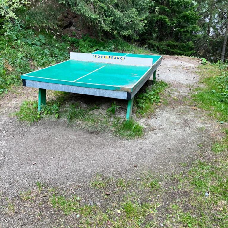 Duplex rénové, 10 couchages, piscine et sauna - Apartment - 68
