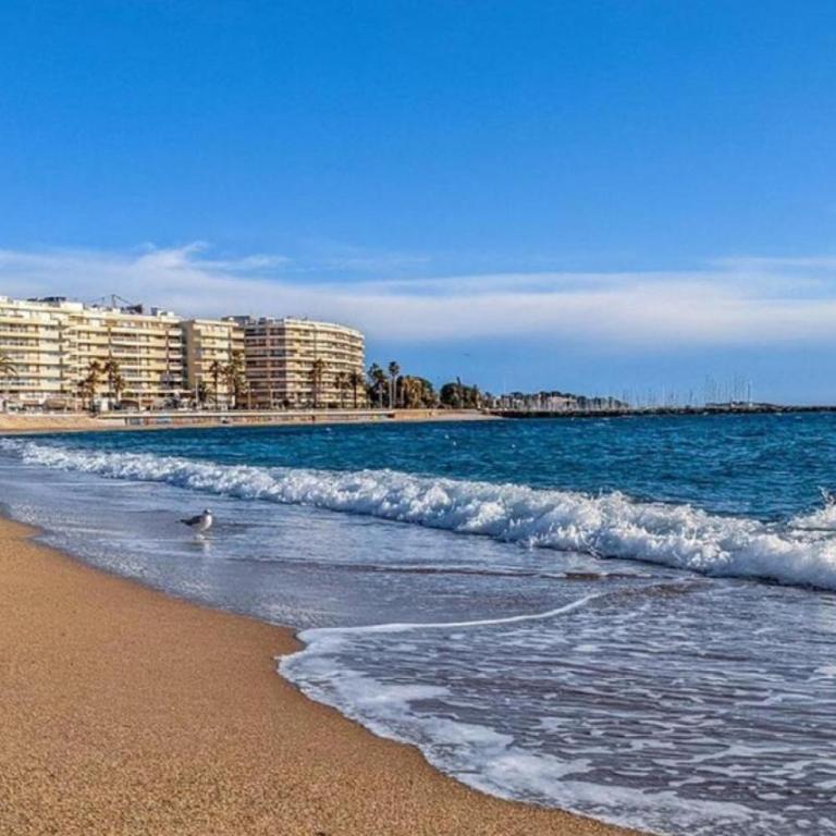 Cosy Parc A – Douceur & Confort au Cœur de Fréjus - Apartment - 30