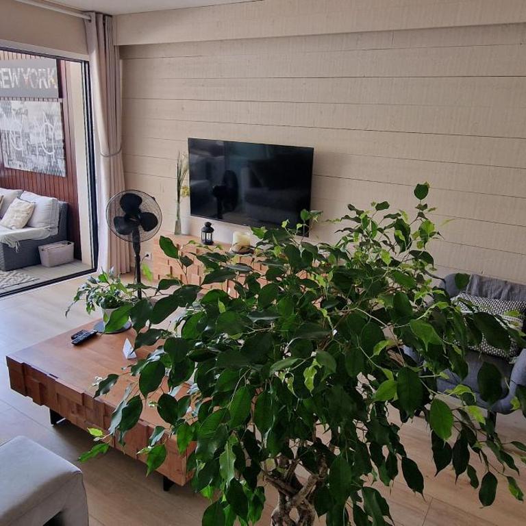 Aix Centre Cosy Calme Garage Terrasse - Appartement 1 Chambre - 43