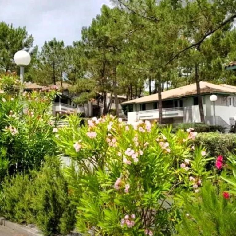 Comfortable apartment with pool - Appartement - 13