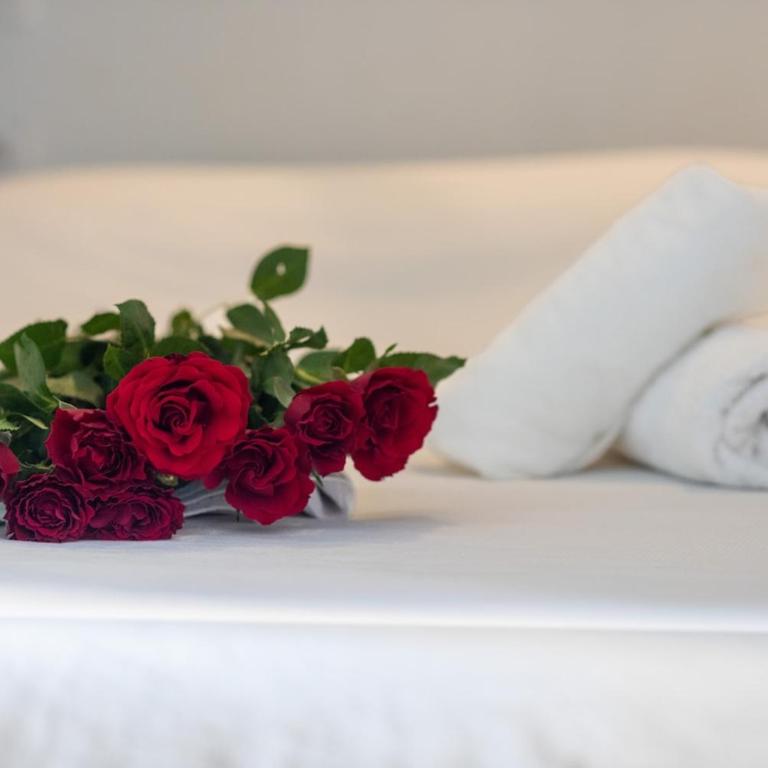 La Suite Palme d'Or Jacuzzi - Appartement 1 Chambre - 11