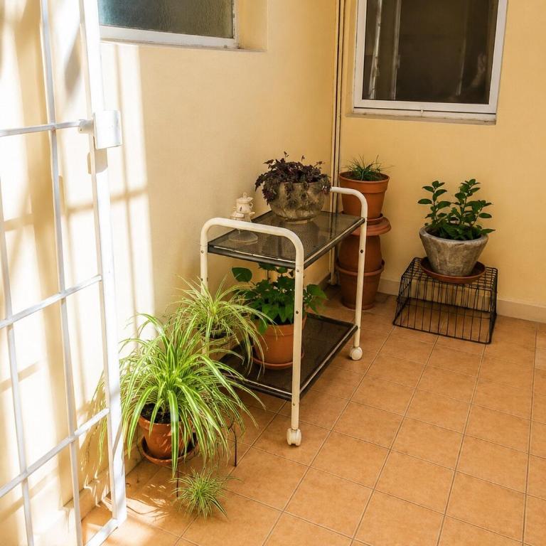 Departamento céntrico amplio y con patio - Apartamento de 1 dormitorio - 13