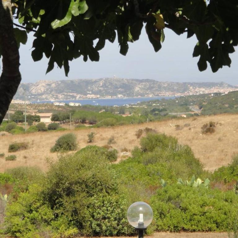 Villetta Iolanda Palau Sardegna con piscina - Villa mit 2 Schlafzimmern - 25
