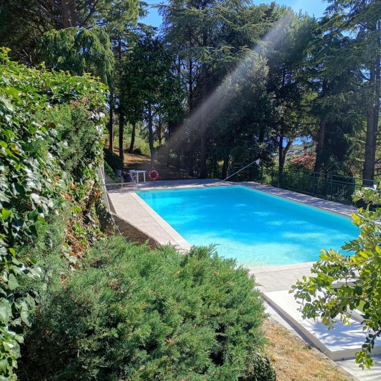 Le Mimose Terrace - Appartement 1 Chambre - 24