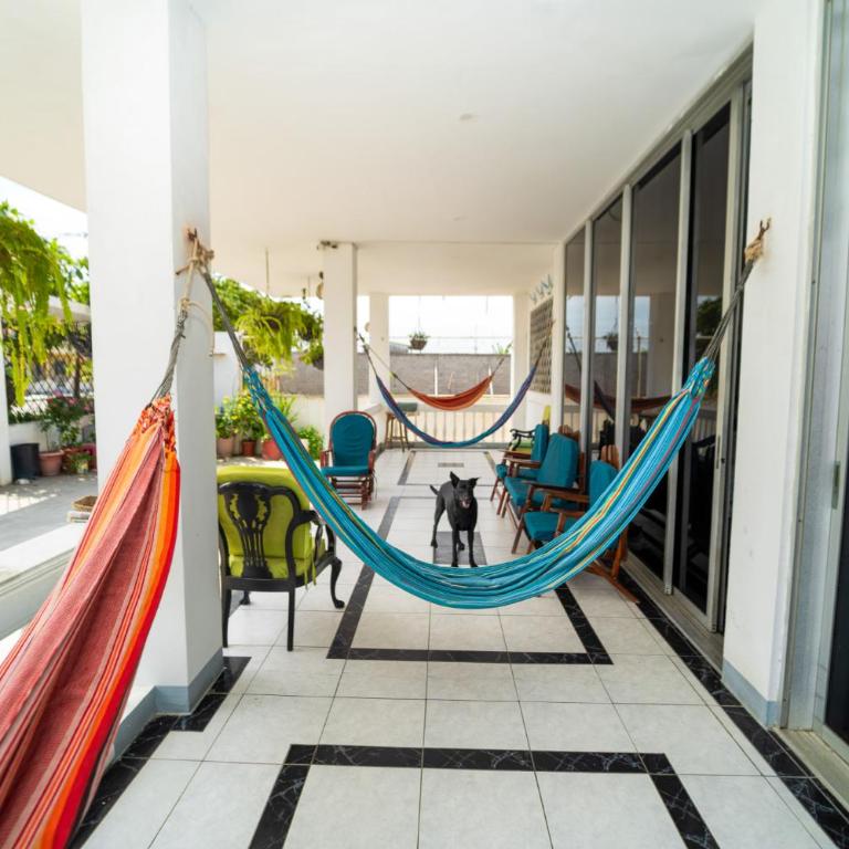 Pangora, habitación privada de Flor de Lis Beach House - One-Bedroom Apartment - 10