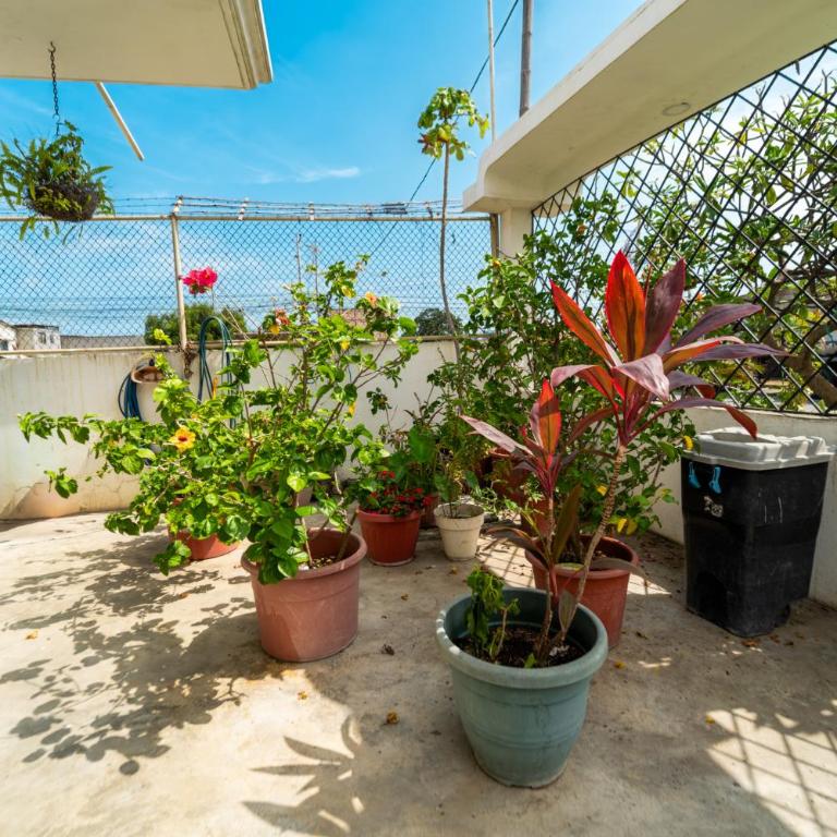 Liza, habitación privada de Flor de Lis Beach House - One-Bedroom Family Apartment - 9