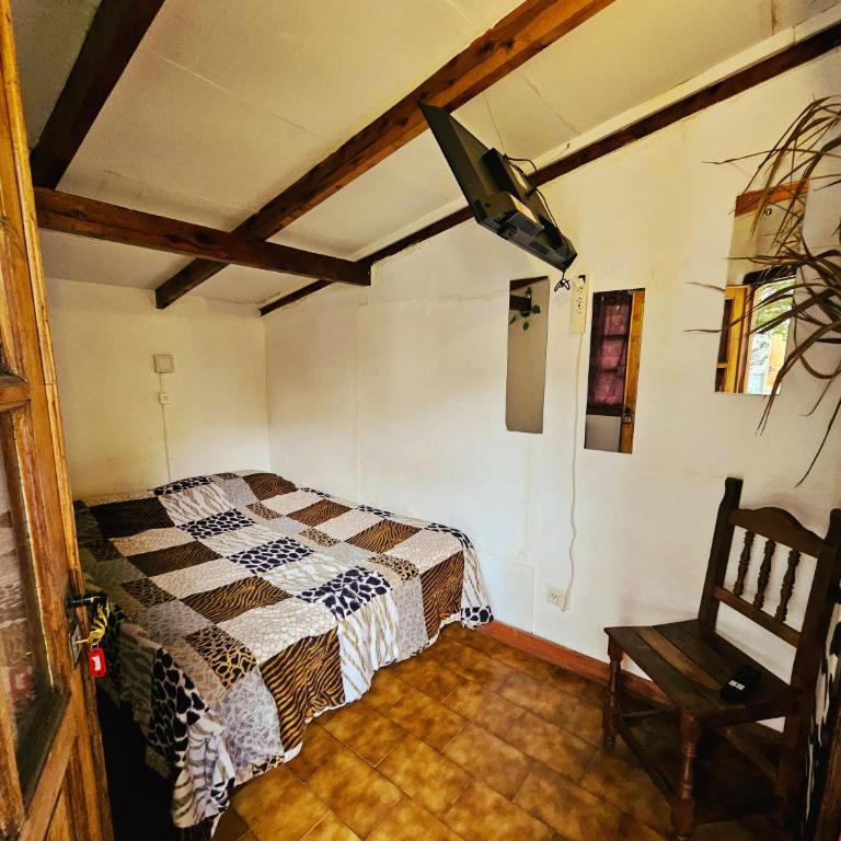 Universal Traveller's Hostel - Habitación Doble con vistas al jardín - 4
