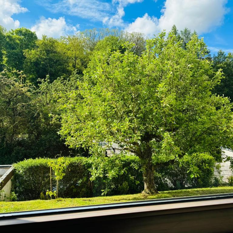 Work & Family Comfort in Heidingsfeld - Apartment mit 2 Schlafzimmern - 10