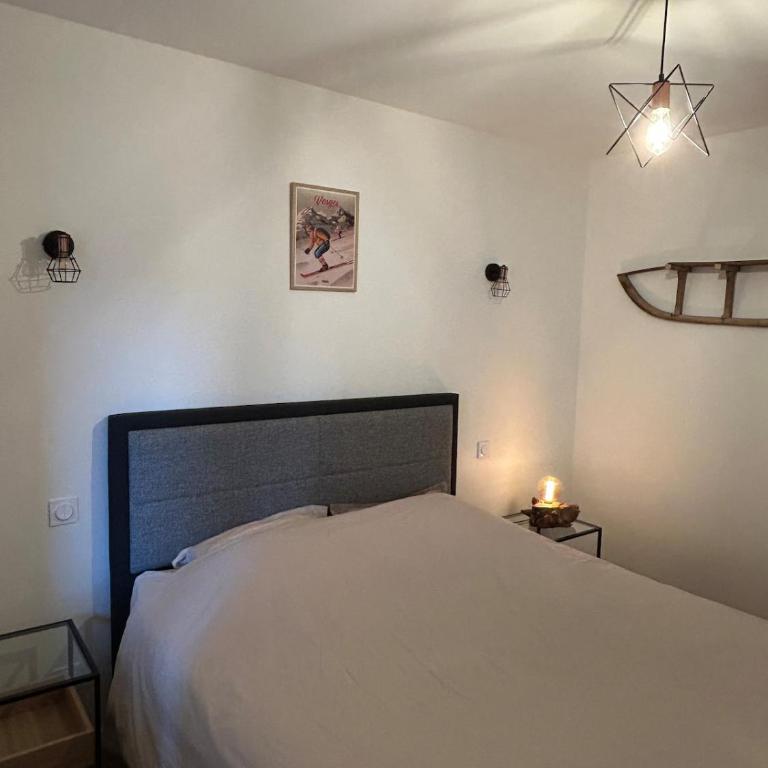 Le Bois du Chamois - Entre Lacs et Forêts - Appartement 2 Chambres - 8