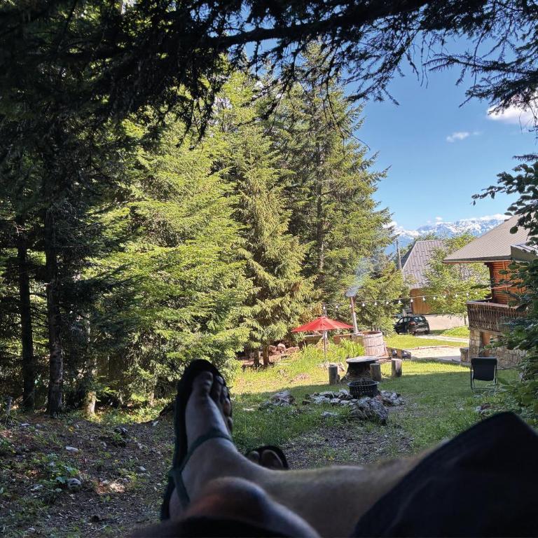 Chalet Clair Bois - La Féclaz avec bain nordique privé - Chalet - 4