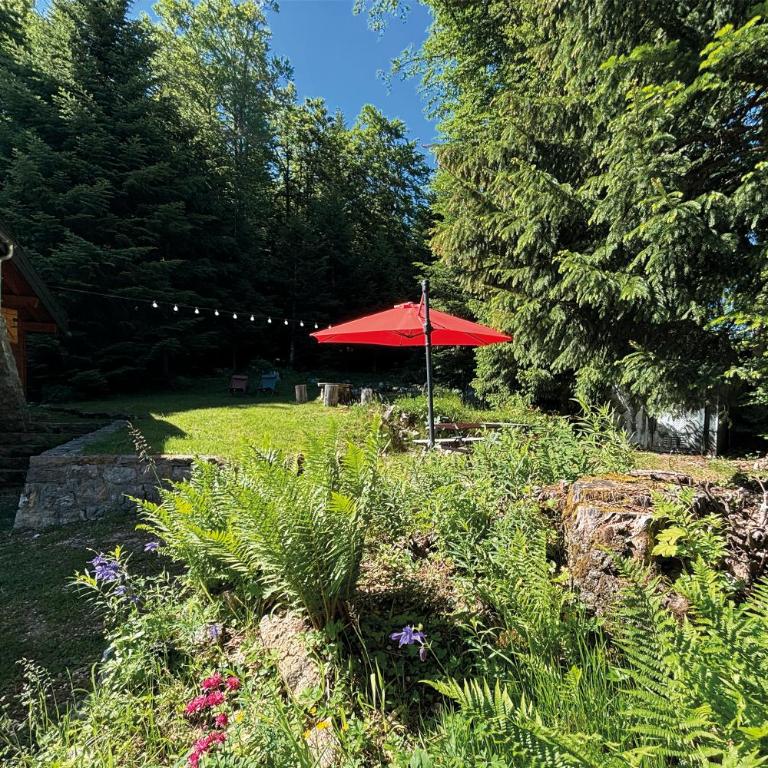 Chalet Clair Bois - La Féclaz avec bain nordique privé - Chalet - 2