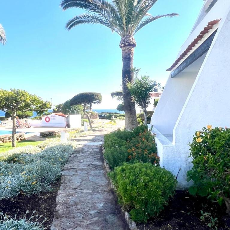 Apartamento Plaza del Faro 35 - Apartamento de 2 dormitorios - 4
