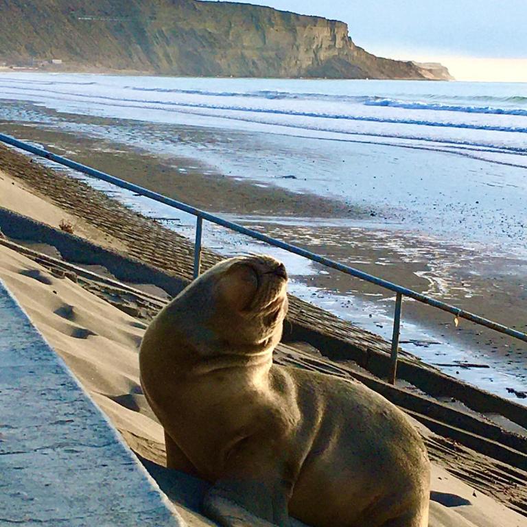 House51 "ubicado a solo 3 cuadras de la playa en pleno centro de Rada Tilly" - Apartamento de 1 dormitorio - 19