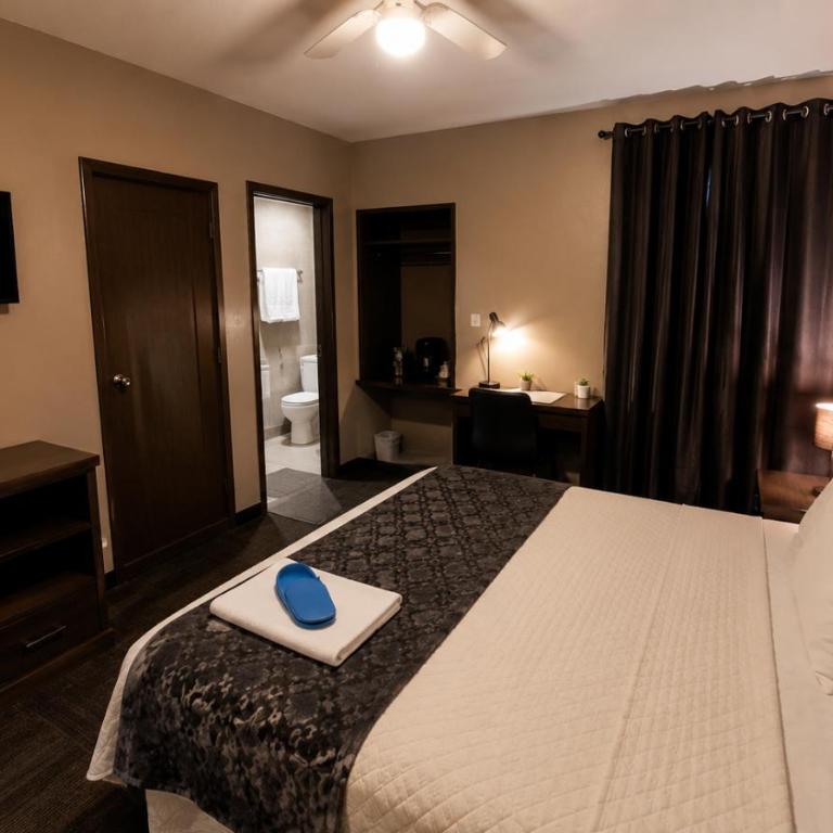 Barrio Inn Morelos - Apartamento Estándar de 1 dormitorio - 3