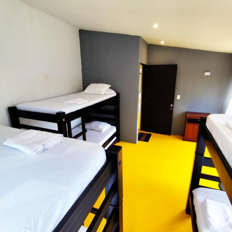 Amalaya Hostel - Bed in 6-Bed Dormitory Room - 3