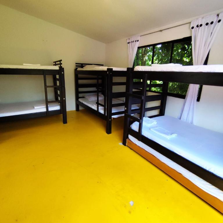 Amalaya Hostel - Standard Family Room - 4