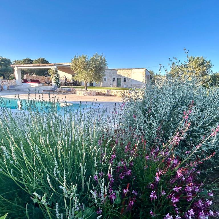 Ostuni Cervarolo Villa 3 bedrooms Pool Olive Grove near the Sea - Deluxe Villa - 64