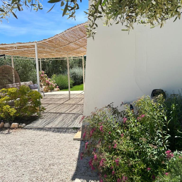 Ostuni Cervarolo Villa 3 bedrooms Pool Olive Grove near the Sea - Deluxe Villa - 24