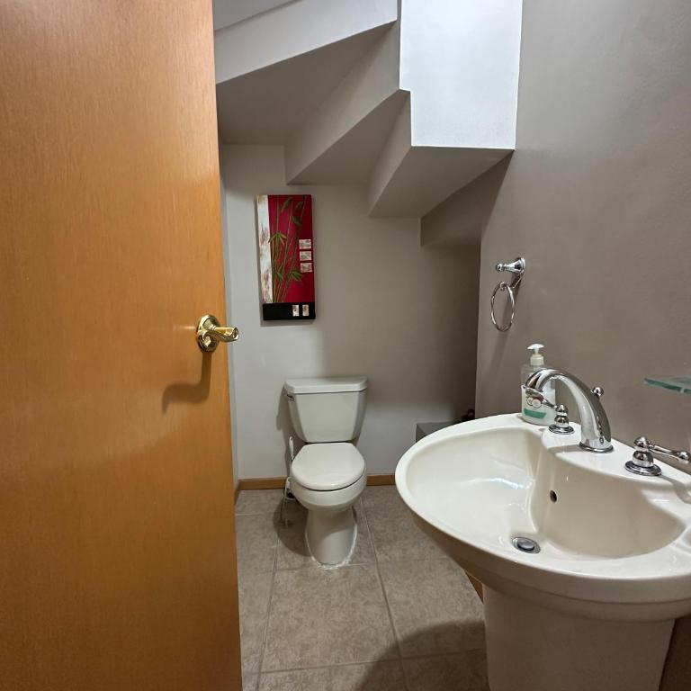 Loft en Monterrey - Apartamento de 1 dormitorio - 5