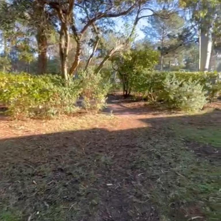Beautiful 3 rooms with terrace near the ocean - Appartement - 11