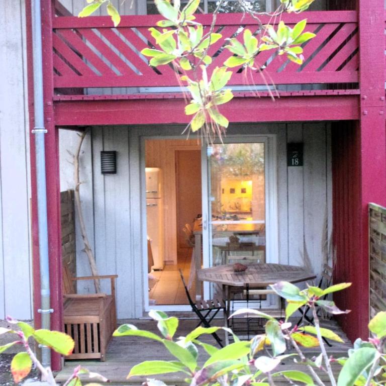 Beautiful 3 rooms with terrace near the ocean - Appartement - 12